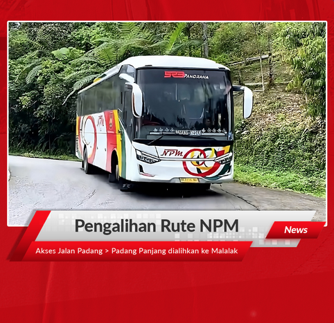 bus npm